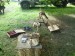 X-2010 043.jpg